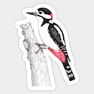 Great spotted woodpecker Sticker